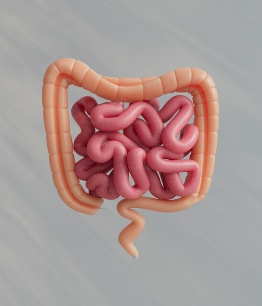 placeholder for bowel page